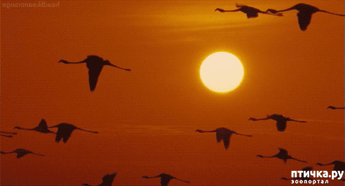  2: 
