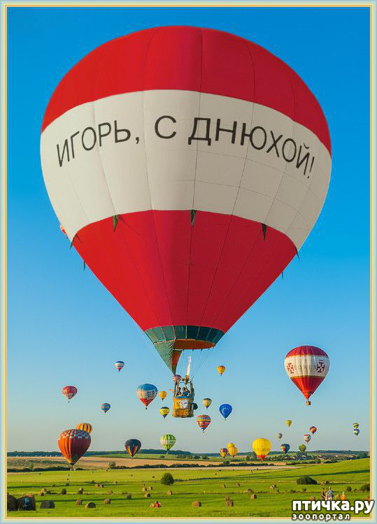 19:    -   !