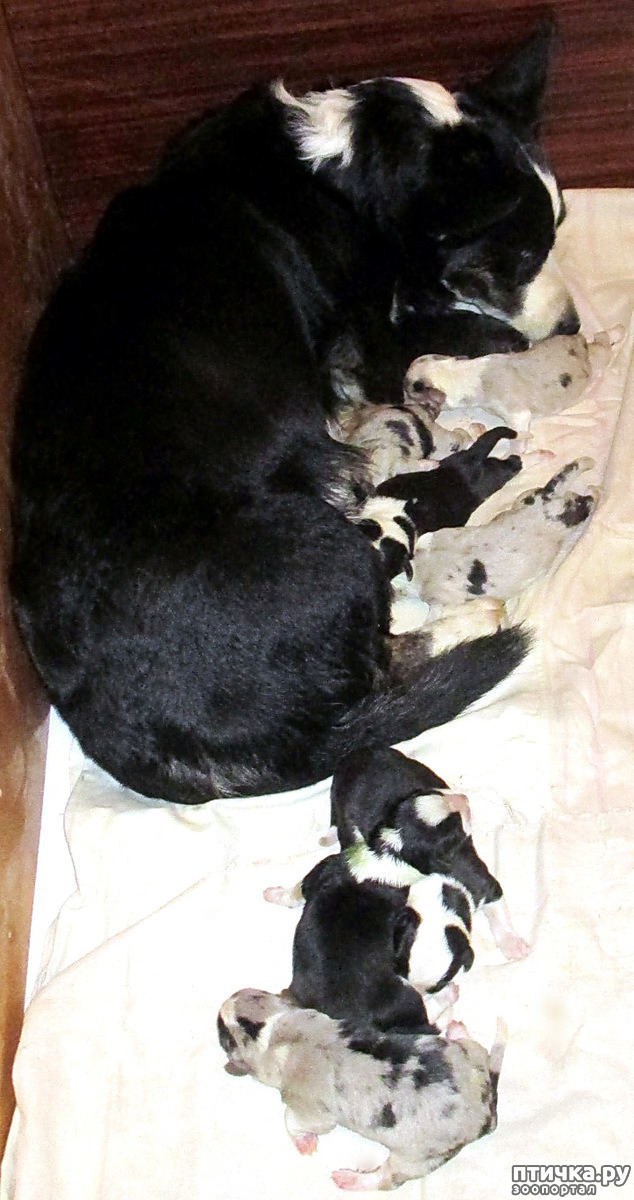  7:  
