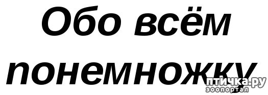  1:   . .   .