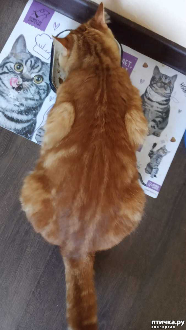  2:  