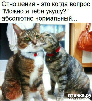 :  ...