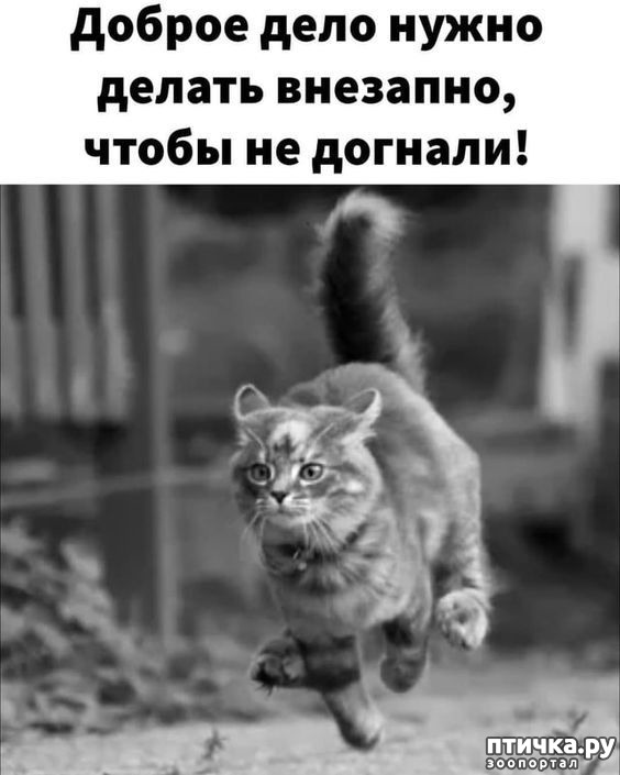  3:  -   !