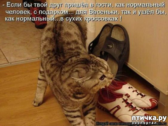  4:  -   !