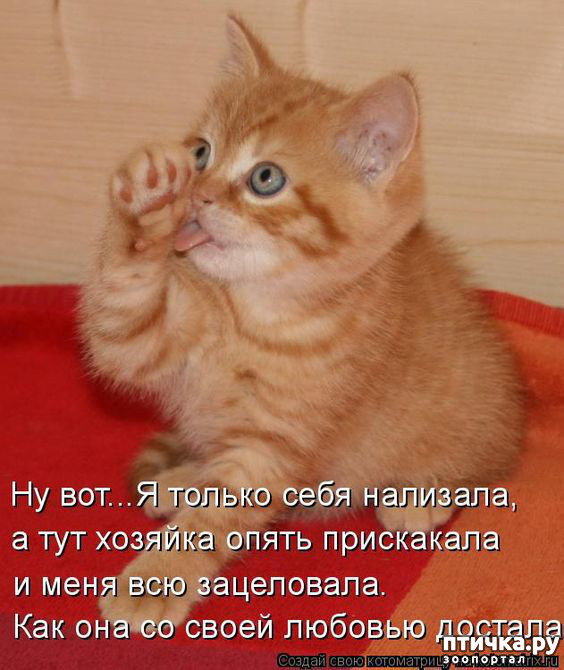  5:  -   !