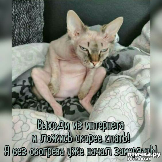  7:  -   !