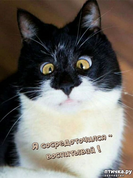  8:  -   !