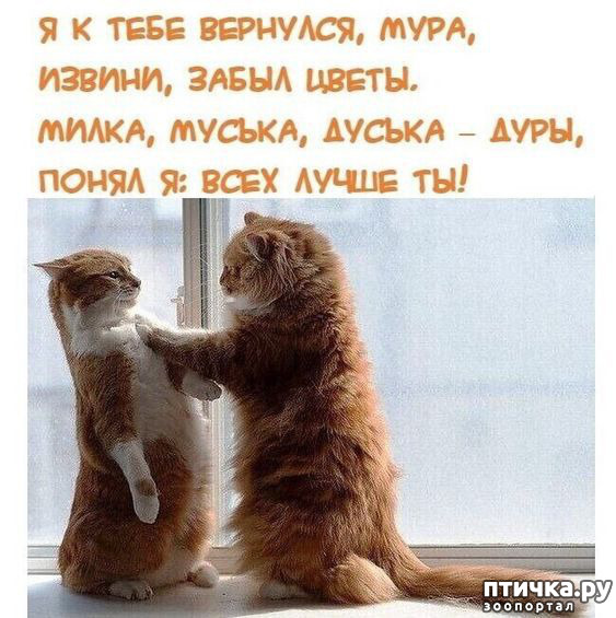  9:  -   !