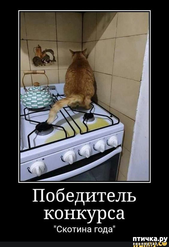  10:  -   !