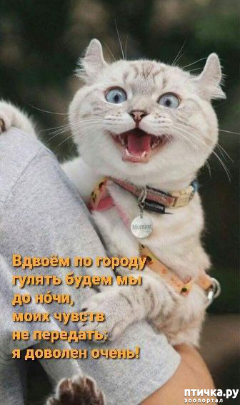  11:  -   !