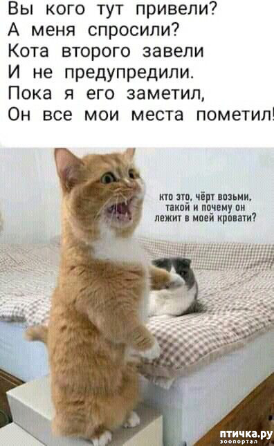  12:  -   !
