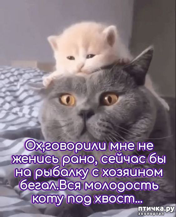  13:  -   !