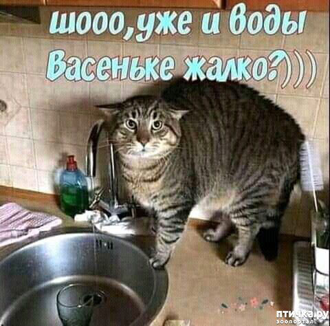  14:  -   !