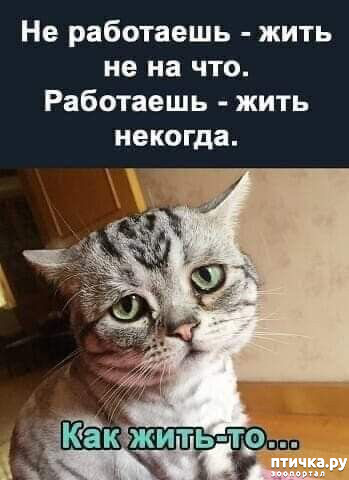  15:  -   !