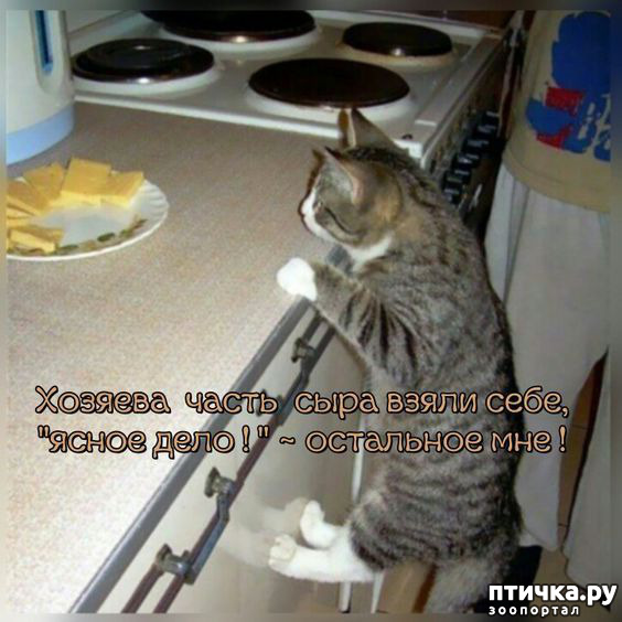  16:  -   !