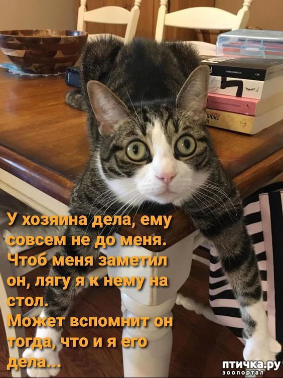  17:  -   !