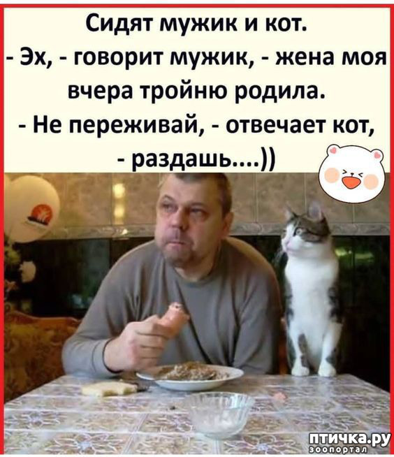  18:  -   !