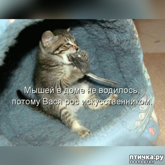  21:  -   !