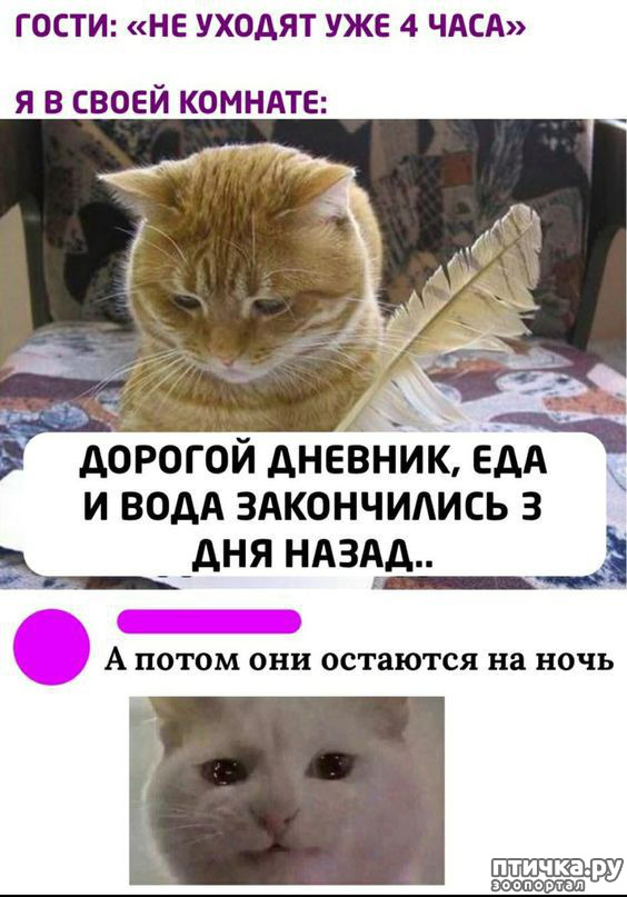  23:  -   !