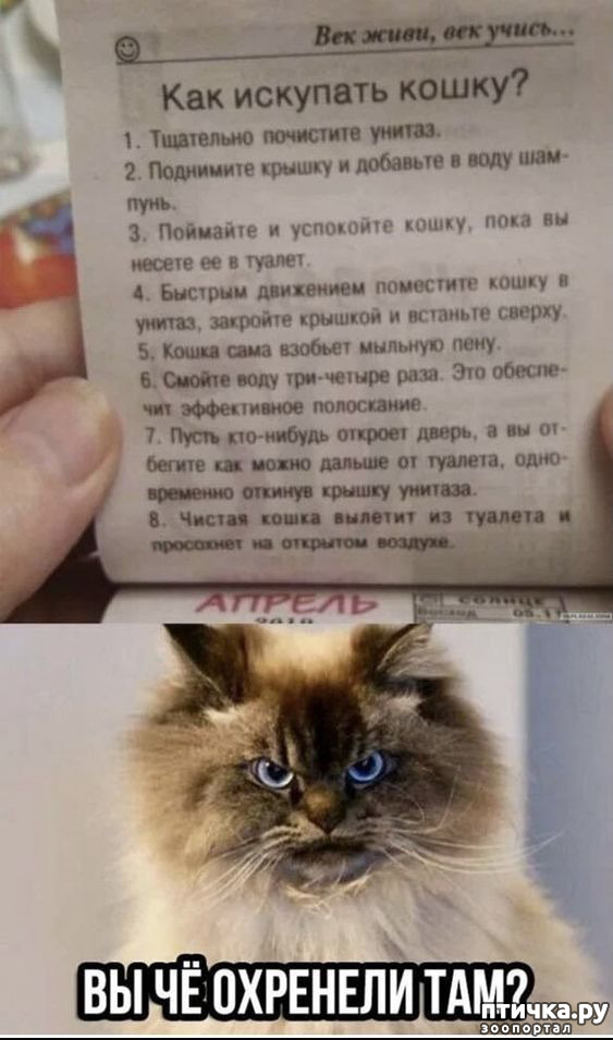  24:  -   !