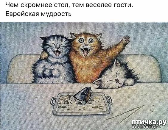  28:  -   !