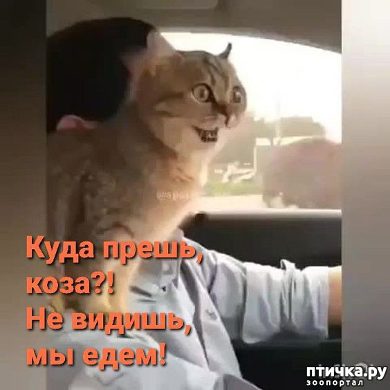  29:  -   !