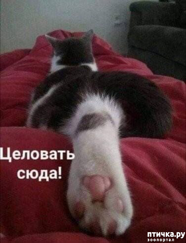  32:  -   !