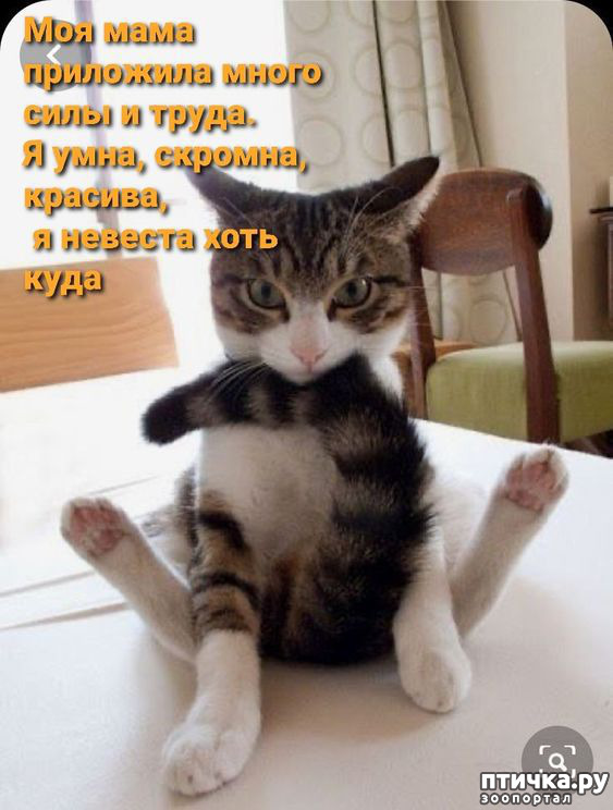  35:  -   !