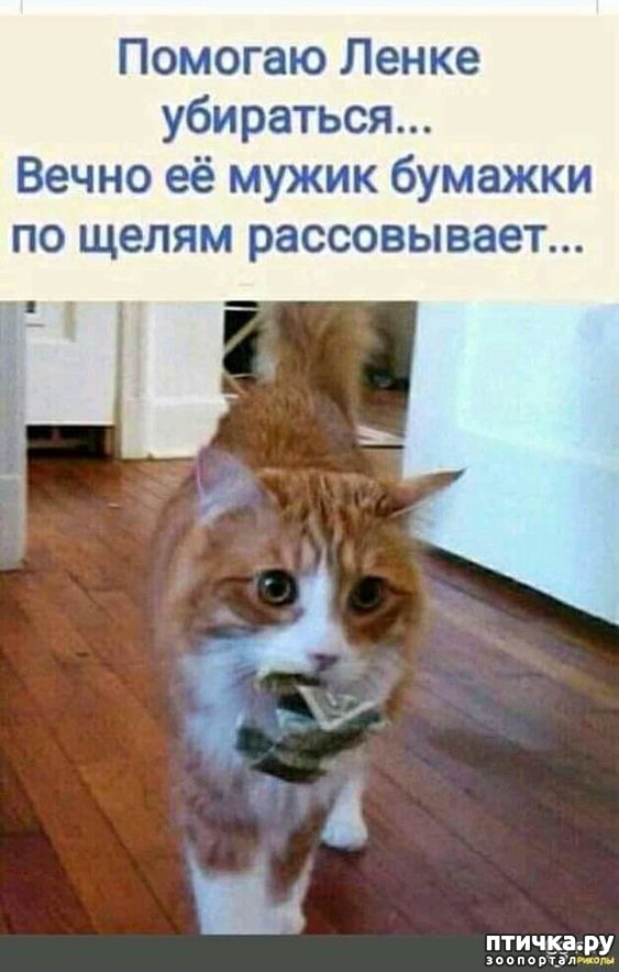  38:  -   !