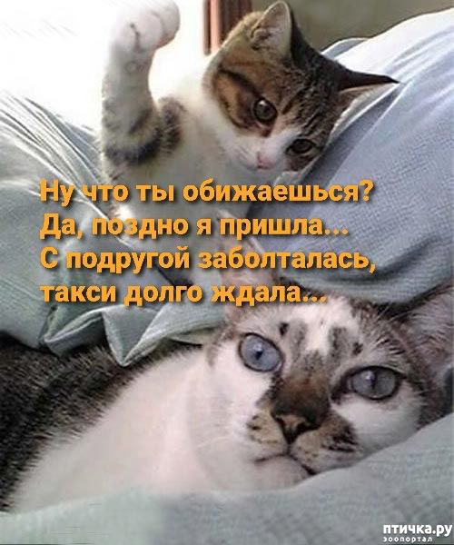  41:  -   !