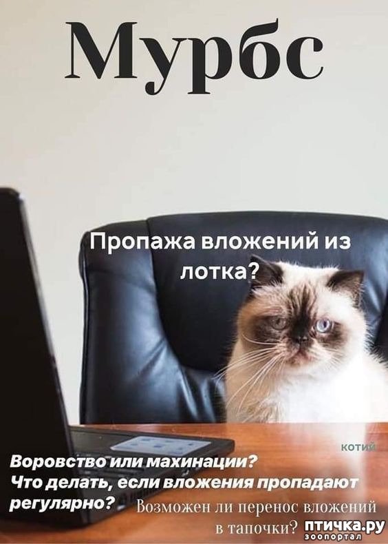  8:   ???