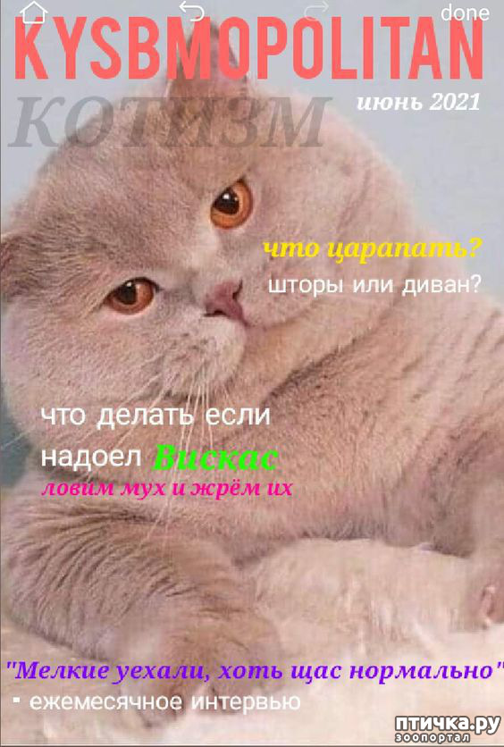  9:   ???