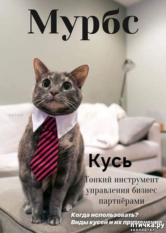  10:   ???