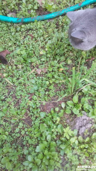  14:   