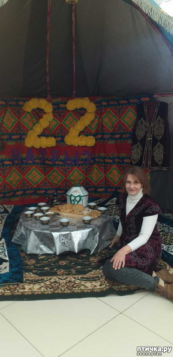  2:     
