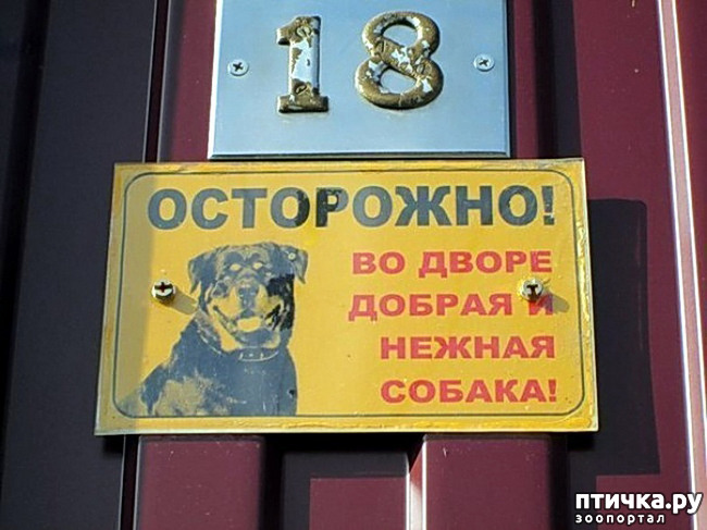  6:     