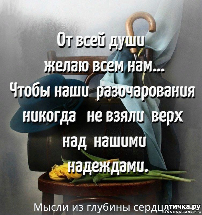  2: 