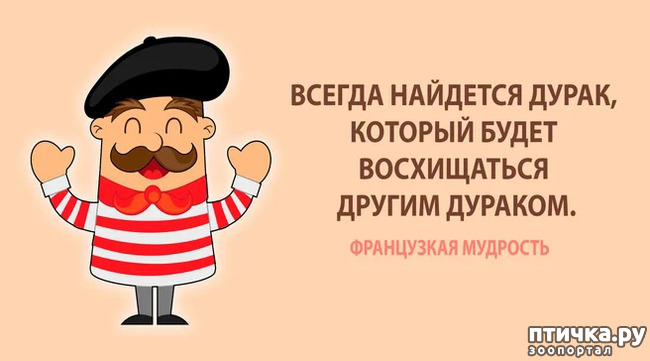 фото 4: Убивающий наповал