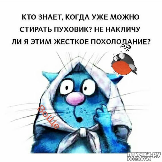  5:   ...