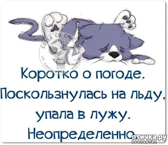  8:   ...