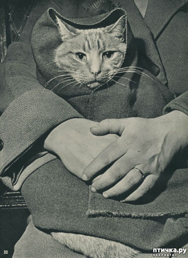  1:  
