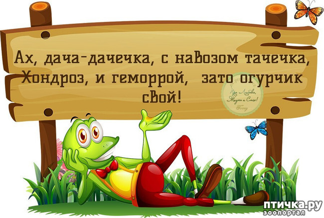 фото 37: МАЙ, МИР, ТРУД и ДАЧА...!!!