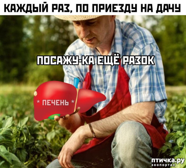 фото 39: МАЙ, МИР, ТРУД и ДАЧА...!!!