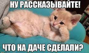 фото 43: МАЙ, МИР, ТРУД и ДАЧА...!!!