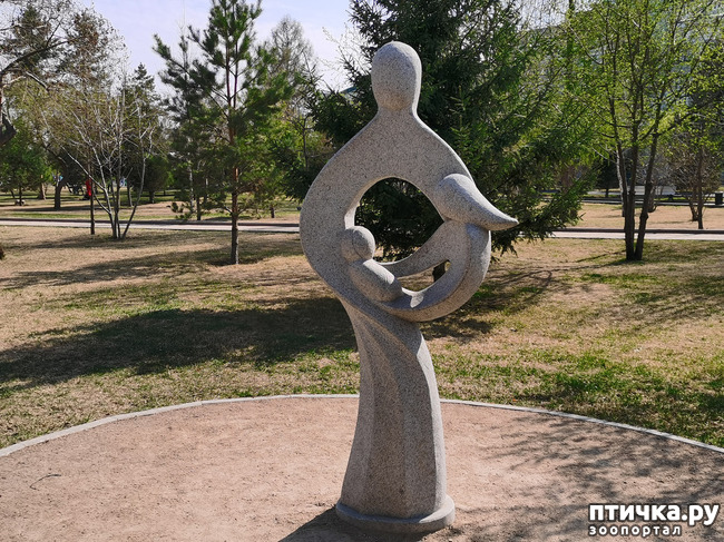  11:   