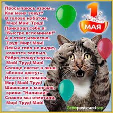 фото 1: МАЙ, МИР, ТРУД и ДАЧА...!!!