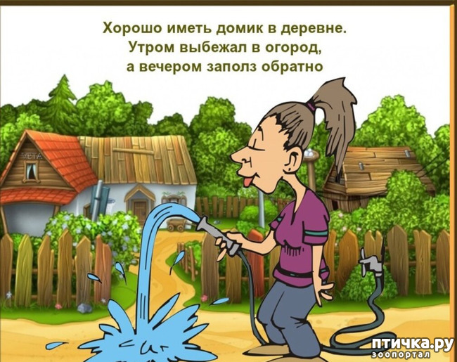 фото 7: МАЙ, МИР, ТРУД и ДАЧА...!!!