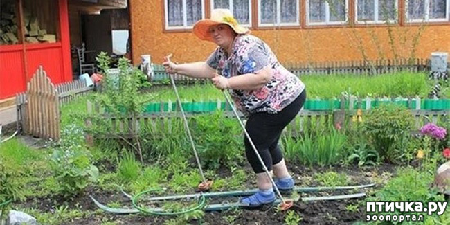 фото 9: МАЙ, МИР, ТРУД и ДАЧА...!!!
