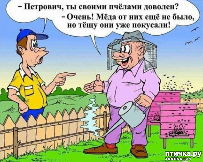фото 13: МАЙ, МИР, ТРУД и ДАЧА...!!!