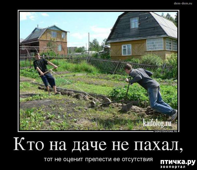 фото 22: МАЙ, МИР, ТРУД и ДАЧА...!!!